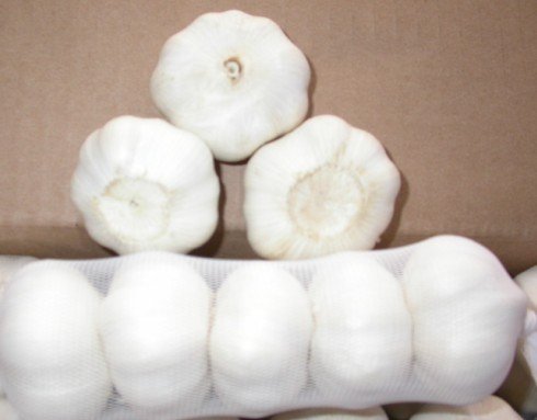 Pure_white_garlic.jpg