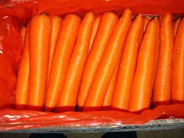 carrot-5