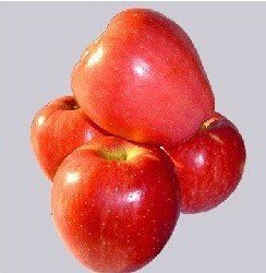 red star apple 1