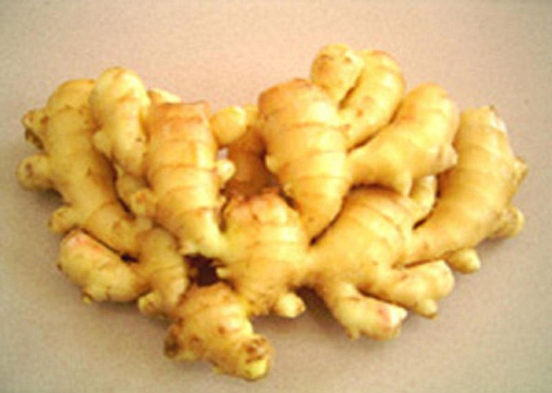ginger-4
