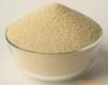 Neutral_proteinase