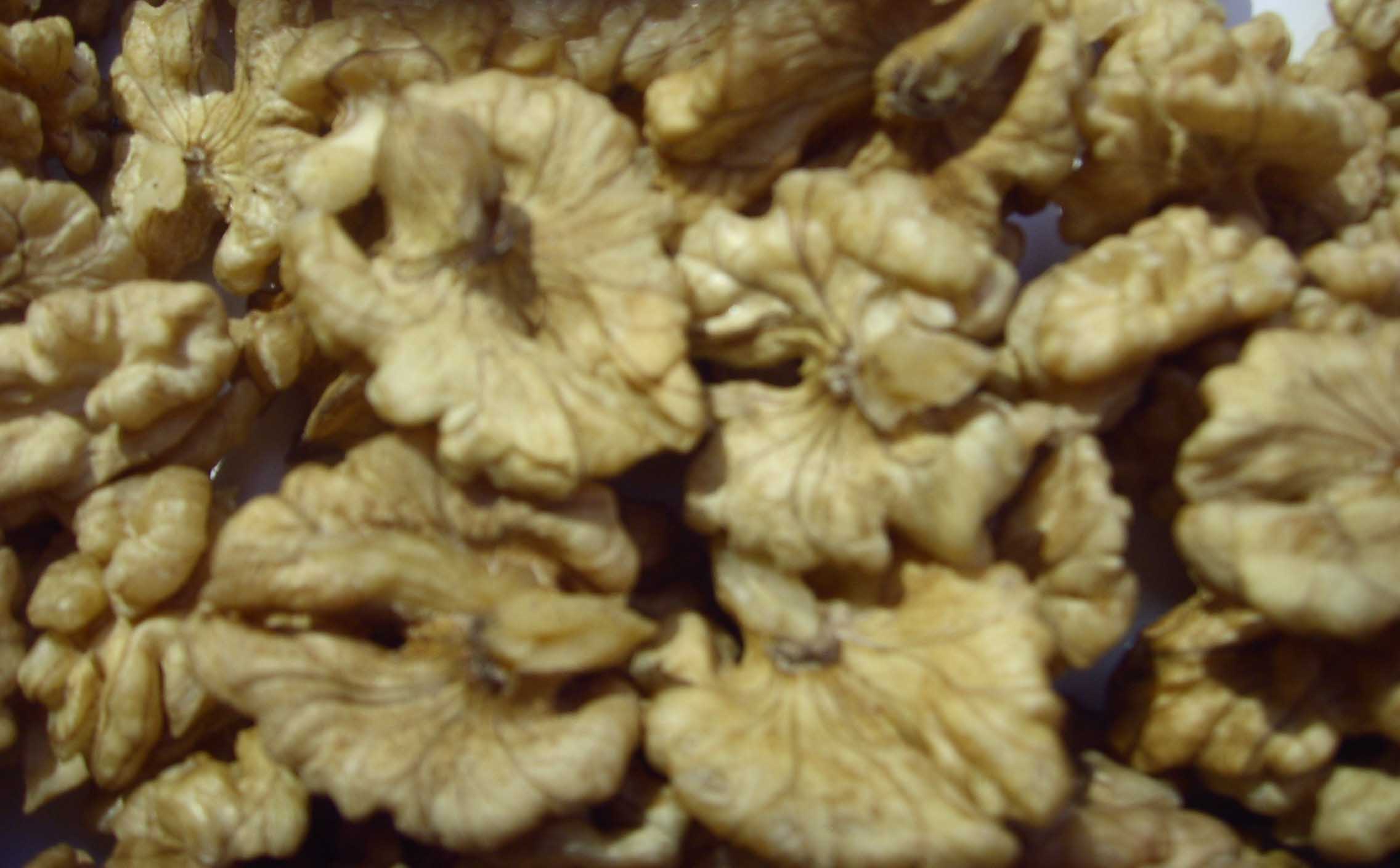 LPIC1088.JPG