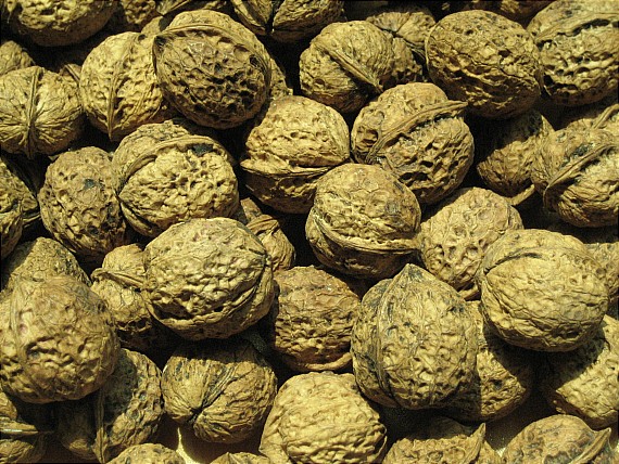 walnut 014.JPG