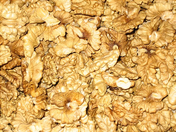 walnut 004.JPG