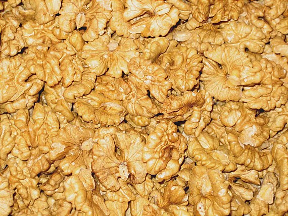 walnut 021.jpg
