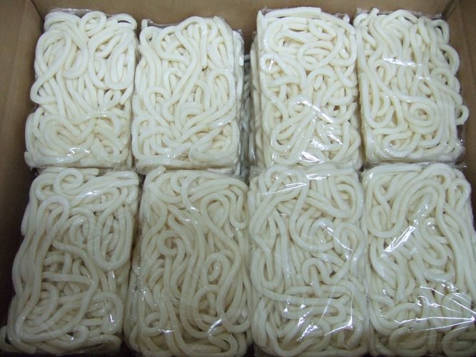 udon noodle 1.jpg