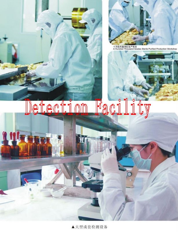 Detection Facility.jpg