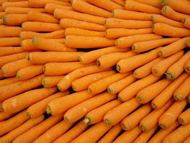 carrot01