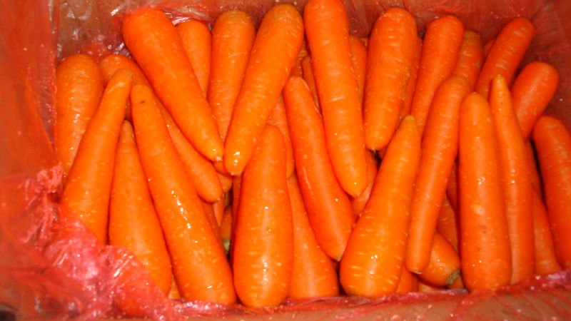 DSC01450