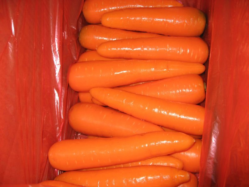 carrot in box