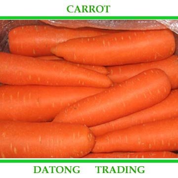 carrot4 .jpg