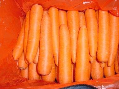 chinese carrot