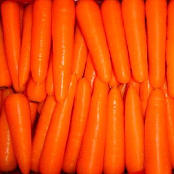 carrot02