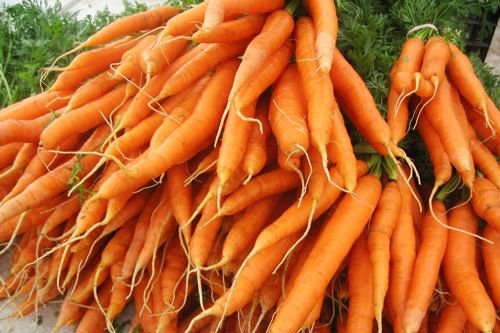 carrot14