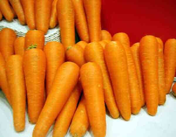 carrot-6