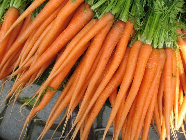 photo-carrot_juice_naturally_cures_diarrhea_large.jpg