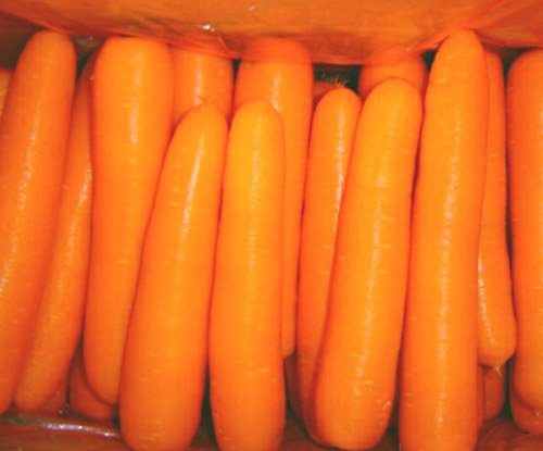 China fresh carrot in 10kg carton package. MOQ:1X40FCL