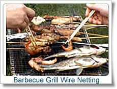 barbecue_grill_wire_netting_01.jpg