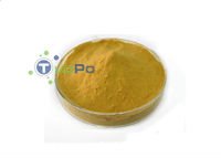 powder(200).jpg