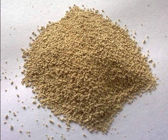 powder-3.jpg