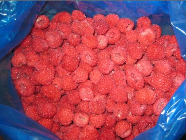 IQF RASPBERRY-GRADE A-2.jpg