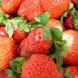 raspberry----15