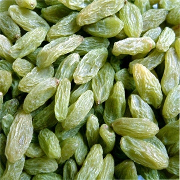 green raisin-03.jpg