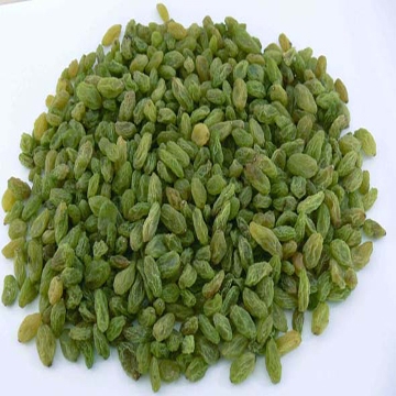 green raisin-02.jpg