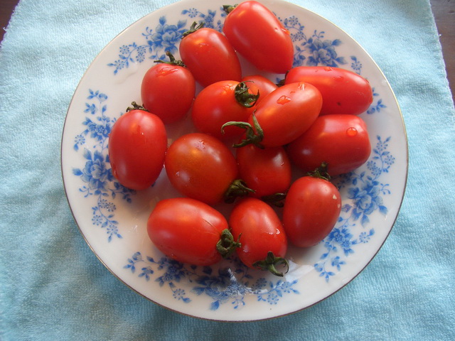 fresh cherry tomato.JPG