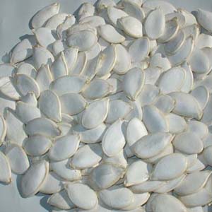 WHITE PUMPKIN SEEDS.JPG