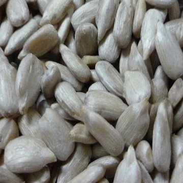 bakery sunflower kernels.jpg