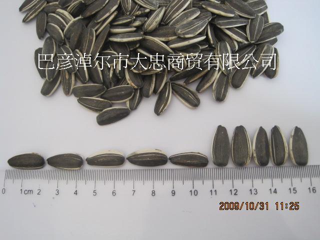 5009.JPG