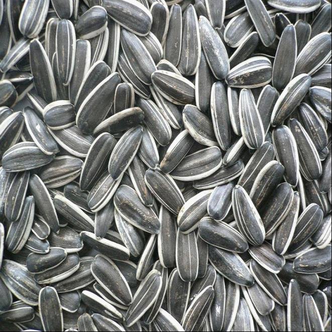 50091