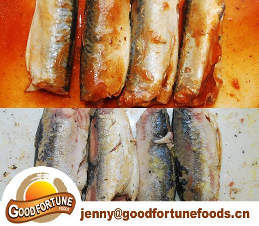 mackerel in brine in tomato-2.jpg
