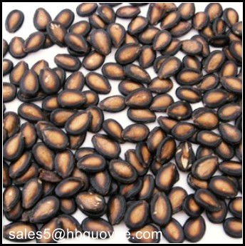 black <a href=