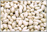 huasheng5.jpg