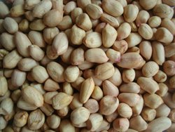 peanuts kernel.jpg