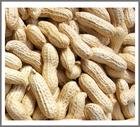 peanut.jpg