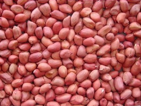 sili red peanut kernels.JPG