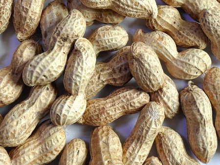 PEANUT IN SHELL LUHUA 11.JPG