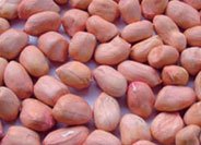 peanut kernel.jpg