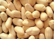 blanches peanut kernel.jpg