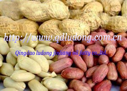 xinsrc_37201042116028902771792