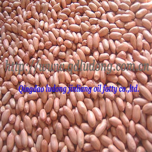 20090927074603831