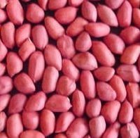 classified_peanut_v0.jpg_200x200