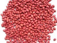 sili_red_peanut_v0.jpg_200x200