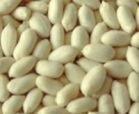 blanched_peanuts_v0.jpg_200x200