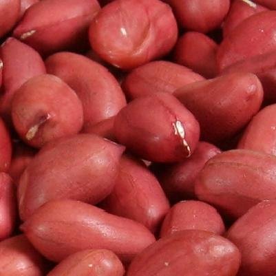 Chinese_Redskin_Peanut_Kernels.jpg