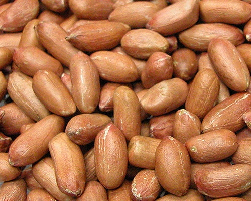 roasted peanut kernel-2.jpg