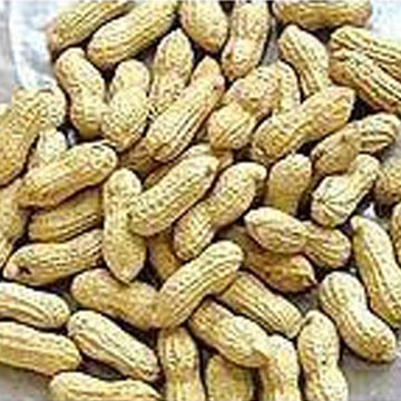 peanut in shell.jpg